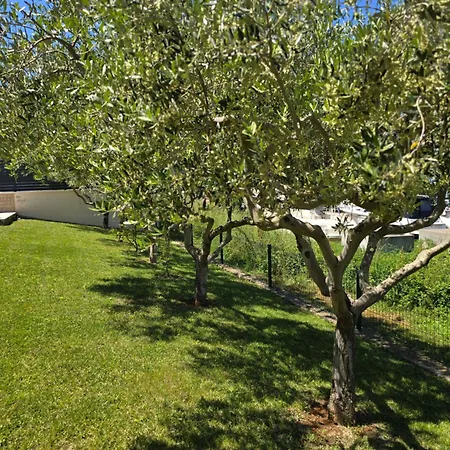 Olive Garden, With A Private Pool *